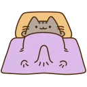 🐱