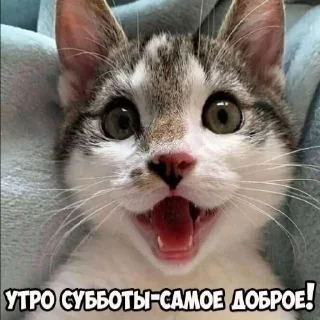 ☺️