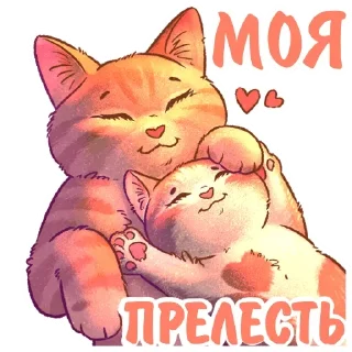 😻