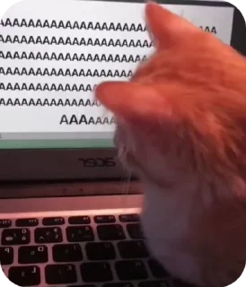 😱