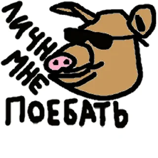 🐷