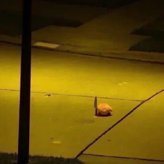 🔪