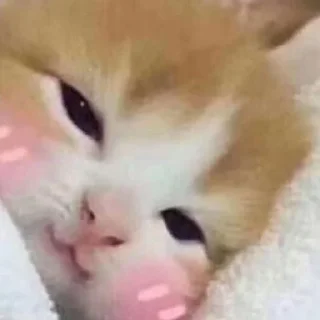 ☺️