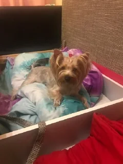 😑