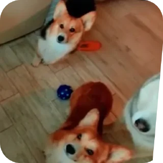 👍