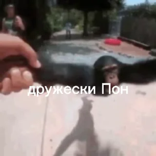 🧙‍♀