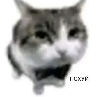 💀
