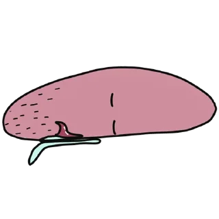 😴