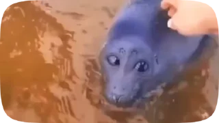 😭