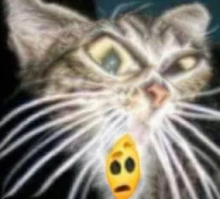 🤔