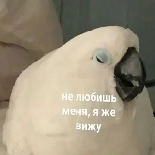 💔