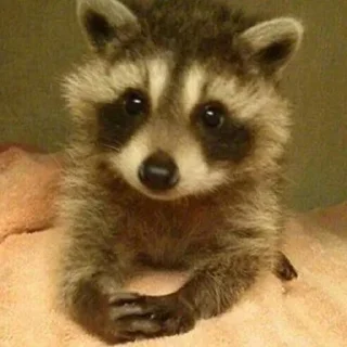 😙