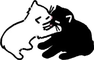 🫂
