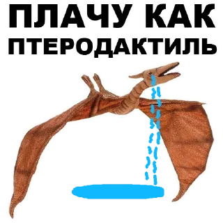 😿