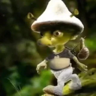 🐱