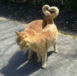 ❤️