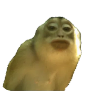 🫥
