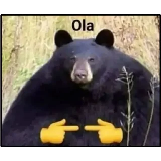 👉