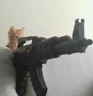 🐈‍⬛