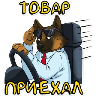 😎