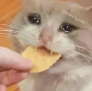 😭