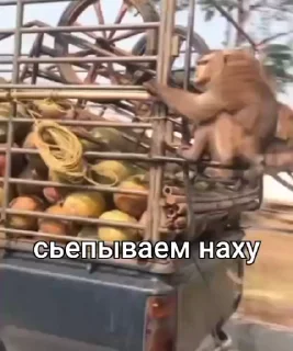 😁