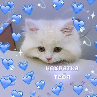 💙