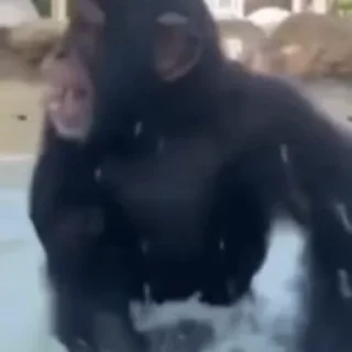 🤪