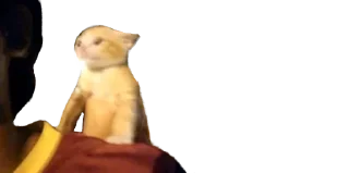 🌪️