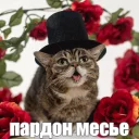 🎩