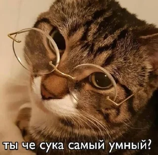 🧐
