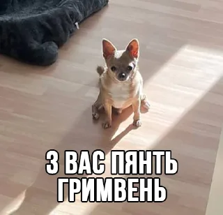 💶