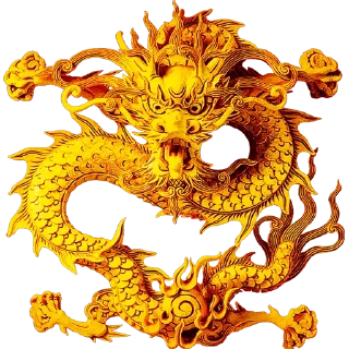 🐲