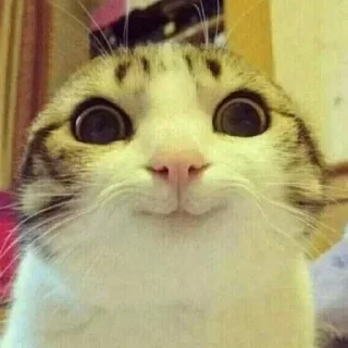 🙂