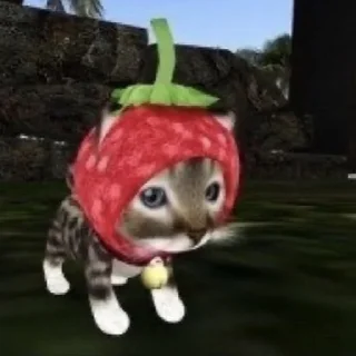 🍓