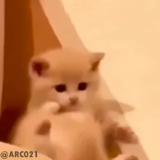 🥹
