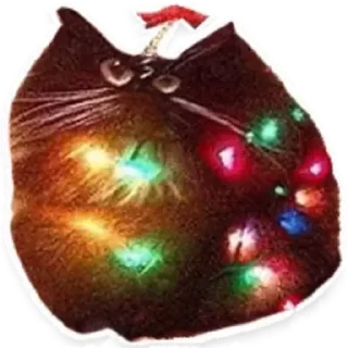 🎊
