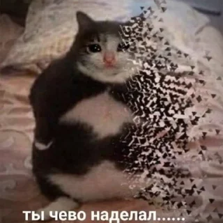 😨