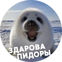 😀