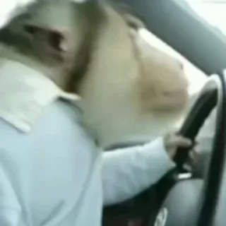 🚗