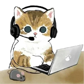 💻