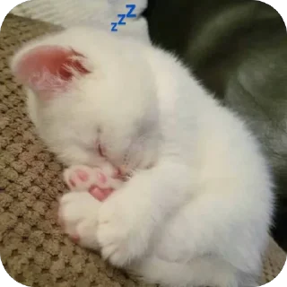🥰