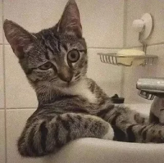 🤨