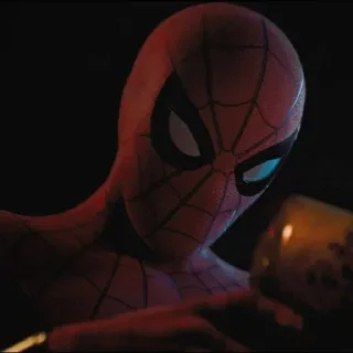 🕷