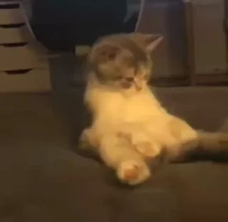 😏