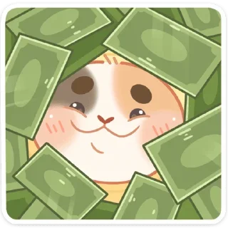 🤑