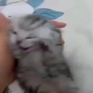 😵