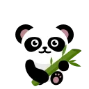 🐼