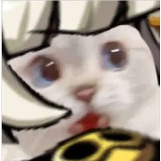 🙀