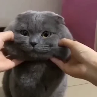🤏